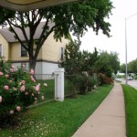 Arbors on Oakmont Outside Area