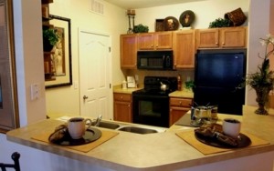 Ridglea Village Apartment Kitchen