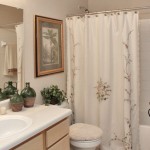 Abbey at Hightower Apartment Bathroom