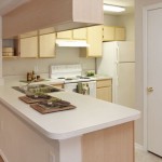 Abbey at Hightower Apartment Kitchen