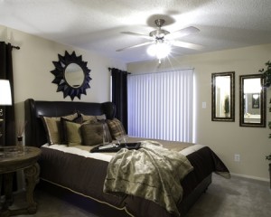 Grayson Ridge Apartment Master Bedroom