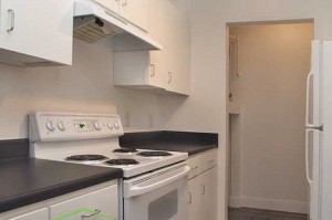 Homes of Parker Commons Apartment Dishwasher