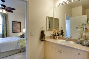 Lakes of Stone Glen Apartment Bathroom