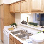 Lakes of Stone Glen Apartment Kitchen