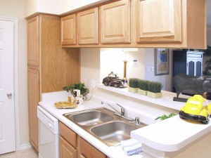 Lakes of Stone Glen Apartment Kitchen