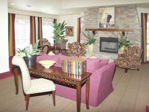 Lakes of Stone Glen Apartment Living Area