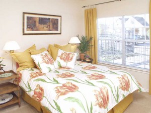 Lakes of Stone Glen Apartment Master Bedroom