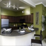 Lincoln Park at Trinity Bluff Kitchen