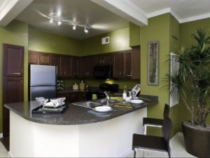 Lincoln Park at Trinity Bluff Kitchen