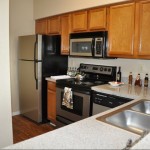 Marina Club Apartment Kitchen