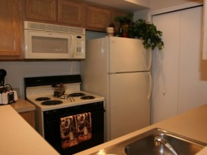 Park Creek Apartment Kitchen