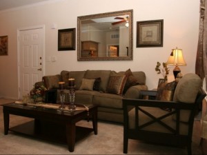 Park Creek Apartment Living Room.
