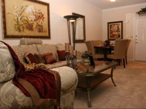 Park Creek Apartment Living Room