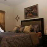 Park Creek Apartment Master Bedroom