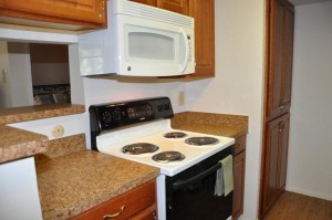 Raintree Apartment Dishwasher