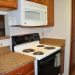 Raintree Apartment Dishwasher