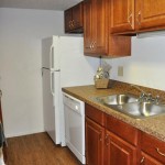 Raintree Apartment Kitchen