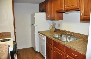 Raintree Apartment Kitchen