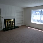 Renaissance Gardens Apartment Fireplace