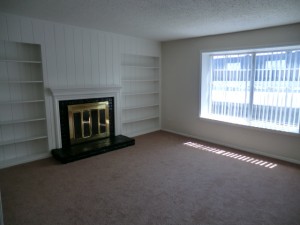 Renaissance Gardens Apartment Fireplace