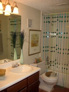 River Ranch Bathroom