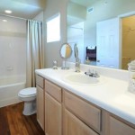 The Marquis at Stonegate Apartment Bath Room