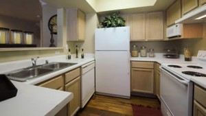 The Marquis at Stonegate Apartment Kitchen