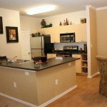 Village of Hawks Creek Kitchen