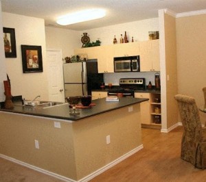 Village of Hawks Creek Kitchen