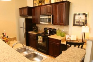 Avington Park Kitchen