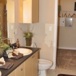Dry Creek Ranch Bathroom