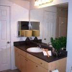 Grand Estates At Keller Master Bathroom