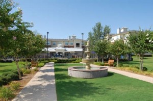 Indigo Pointe At Western Center Fountain