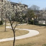 The Boulders Property Ground