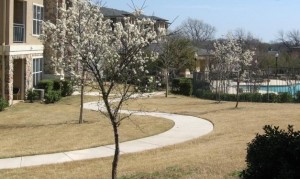 The Boulders Property Ground