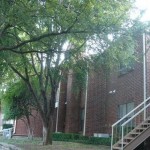 The Heights Apartment Property Ground