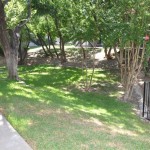 The Place at Westover Hills Property Ground