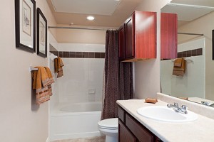 Villa Lago Bathroom
