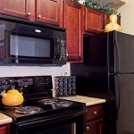 Villa Lago Kitchen
