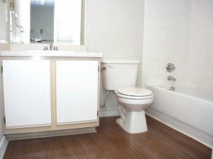 Vistas at Lake Worth Bathroom